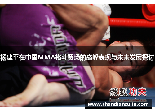 杨建平在中国MMA格斗赛场的巅峰表现与未来发展探讨