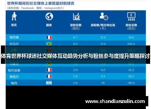 体育世界杯球迷社交媒体互动趋势分析与粉丝参与度提升策略探讨